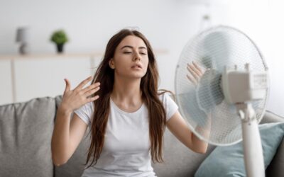 Os Melhores Ventiladores de 2025: Guia de compra